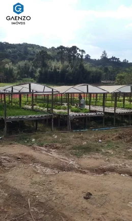 Imagem Sitio para loteamento (parceria)