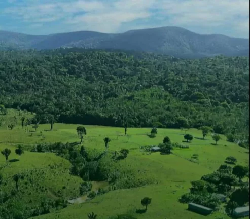 Imagem RESERVAS DO ESCONDIDO - MATA ATLÂNTICA