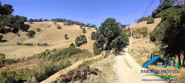 Imagem Conecte-se à Natureza: Terreno Rural com Nascente e Vista Panorâmica!