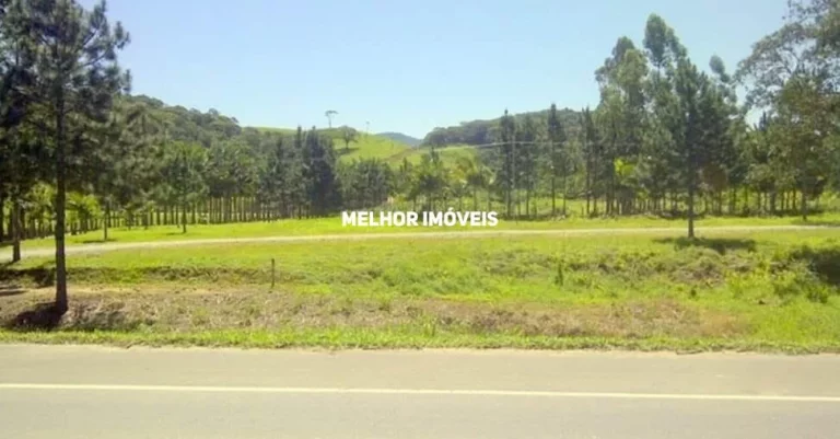 Imagem Terreno - Venda - Santo Amaro da Imperatriz , Santa Catarina