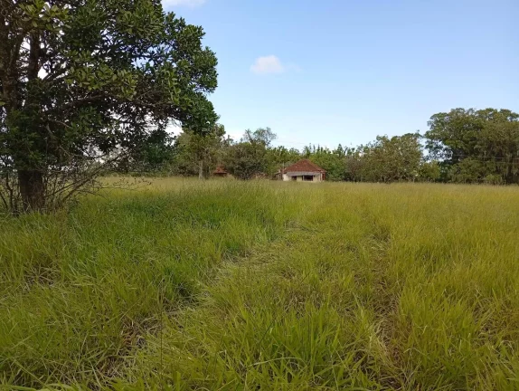 Imagem Sítio a venda com 9 Hectares, Passo da Areia, Viamão/RS