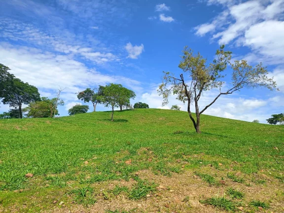 Imagem Viva o Melhor do Campo com Conforto e Estilo! Luziânia-GO.