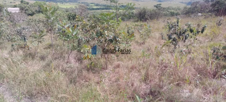 Foto do imóvel: Chácara para Venda em Brasília, Área Rural de São Sebastião