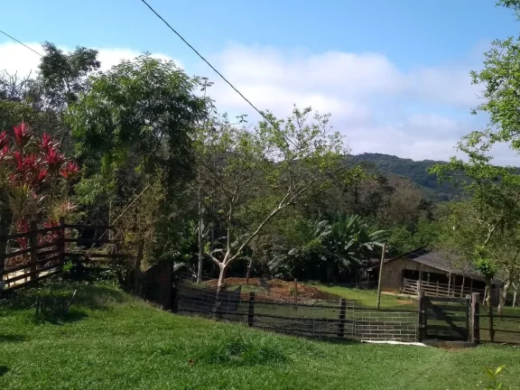 Imagem Chácara na Serra da Graciosa em frente ao Asfalto - Antonina - R$900mil