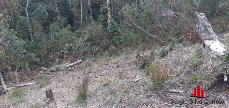 Imagem Terreno a Venda na Região do Atalaia Campos do Jordão / SP