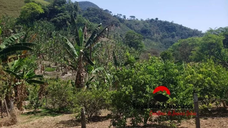 Imagem Sítio Bela Vista Bairro dos Lúcios Região de Luminosa em Brazópolis - MG