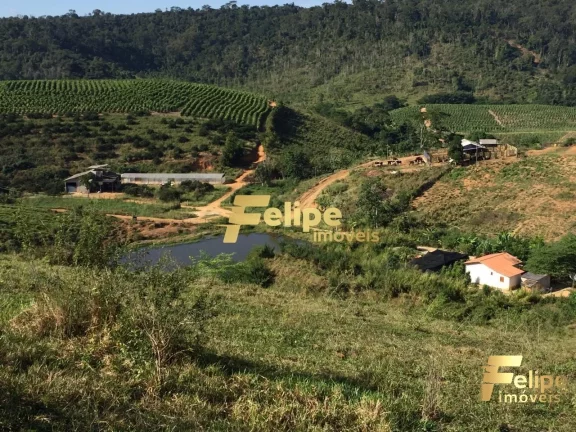 Imagem FAZENDA EM COLATINA (28KM DO CENTRO) / UM IMPERDÍVEL NEGÓCIO!
