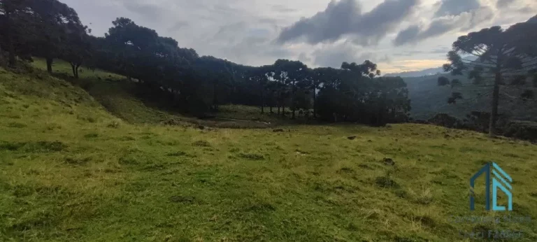 Imagem Sítio 25.5 hectares, ideal para construção de pousada ou lazer em URUBICI - SC