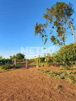 Imagem Fazenda de com 20 hectares produzindo e com Infraestrutura, CASA NOVA - BA