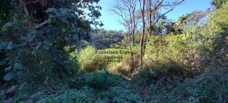 Imagem Terreno à venda no bairro Cedro - Cunha/SP