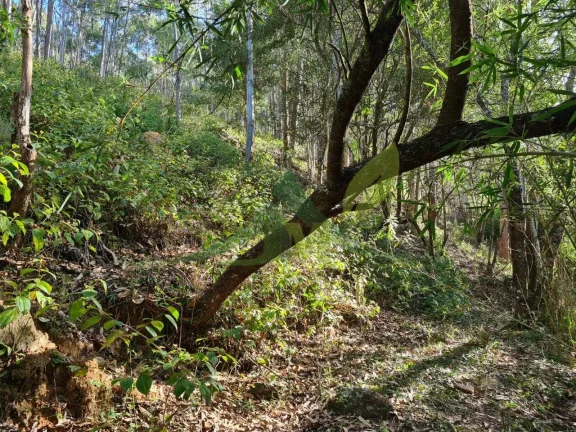 Imagem Sítio à Venda em Piracaia com 55.000m²