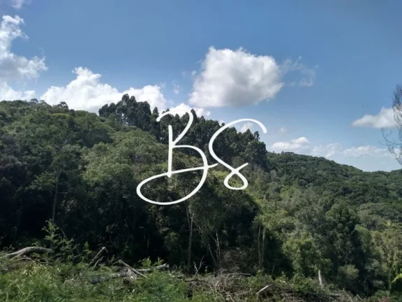 Imagem SITIO RURAL em IGREJINHA - RS, Serra Grande