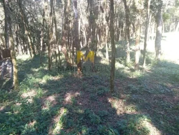 Imagem Chácara, 7000m2, à venda no Recreio da Serra em Piraquara!!!