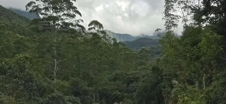 Imagem Área rural à venda em Santa Rosa de Lima/SC