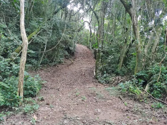 Imagem Descubra um verdadeiro Oasis próximo a Capital Paulista num terreno exclusivo medindo 38.320m². Lo...