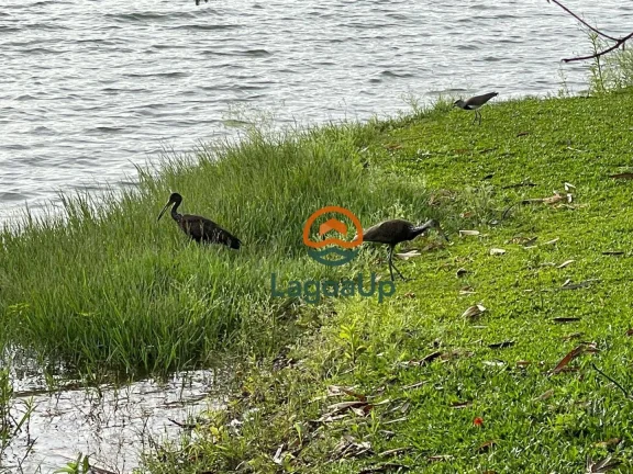 Imagem Terreno à venda, 500 m² por R$ 430.000,00 - Joá - Lagoa Santa/MG