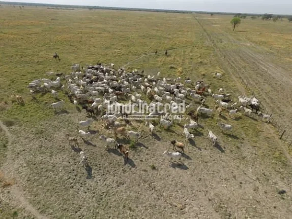 Imagem Fazenda San Justino no Chaco Paraguaio com valor de 900 dólares por hectare, totalizando 12.289 hectares.