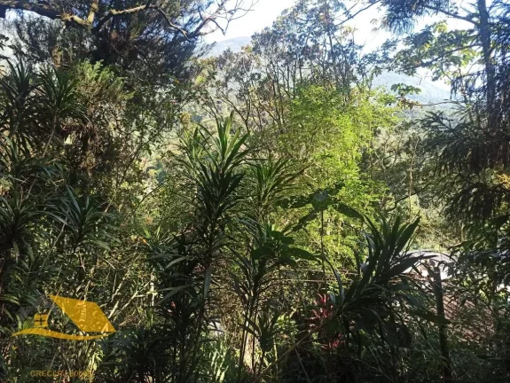 Imagem Vendo Chácara em Theodoro com 3 quartos, 1 suíte e 5 mil mts² de terreno.