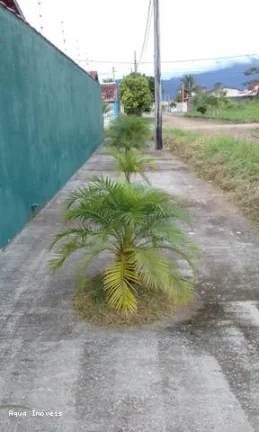 Imagem Casa para Venda em Peruíbe, Vila Romar, 3 dormitórios, 1 suíte, 1 banheiro, 2 vagas