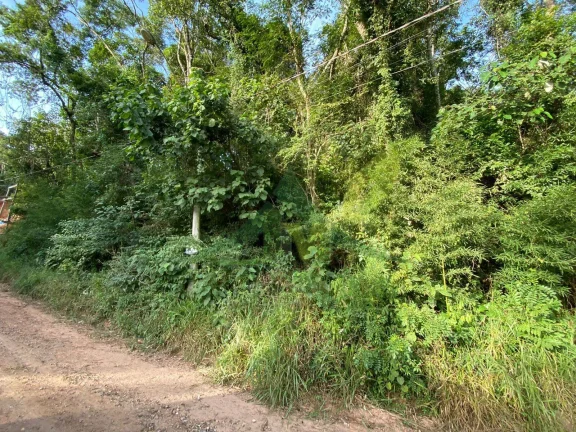 Imagem Terreno à Venda em Atibaia Loteamento de Chacaras