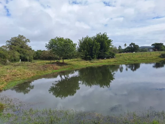 Sítio à venda, com 1 hectare, açude, no Passo da Areia - Viamão/RS