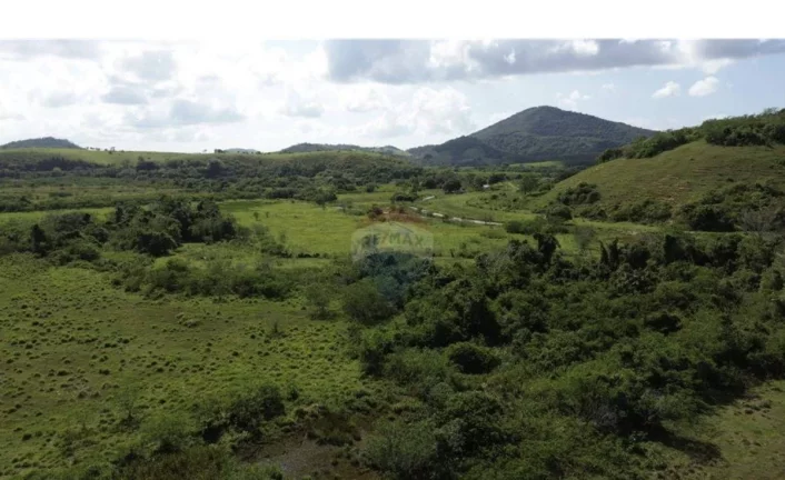 Imagem Fazenda à Venda, 1.449.875 m² em Zona Rural - Anchieta