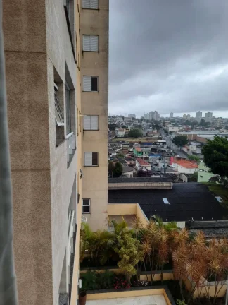 Imagem Apartamento lindo 70 m² 3 dormitórios com piscina em S.B. do Campo
