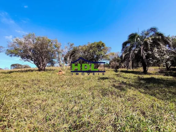 Imagem Chácara 5,3 Ha Oportunidade em Hidrolândia