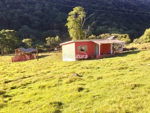 Imagem Sítio maravilhoso com 47 hectares de natureza exuberante!
