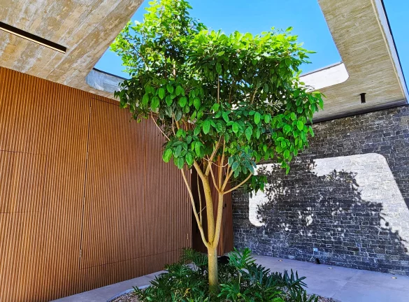 Imagem Casa de luxo à venda em Riviera de São Lourenço Módulo 15: 5 suítes, 3 salas, 3 vagas, 542m² de área.