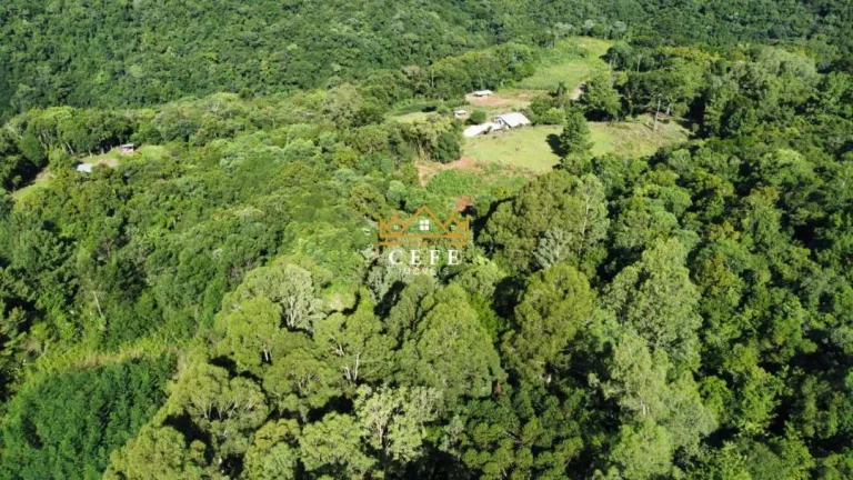 Imagem Chácara - Sítio com 3 Dormitorio(s) localizado(a) no bairro Linha Ávila em Gramado / RIO GRANDE DO SUL Ref.:1445