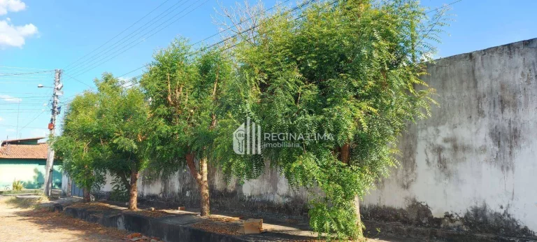 Imagem Terreno à venda, 750 m² por R$ 750.000,00 - próximo à Faculdade UNIRB -Gurupi - Teresina/PI