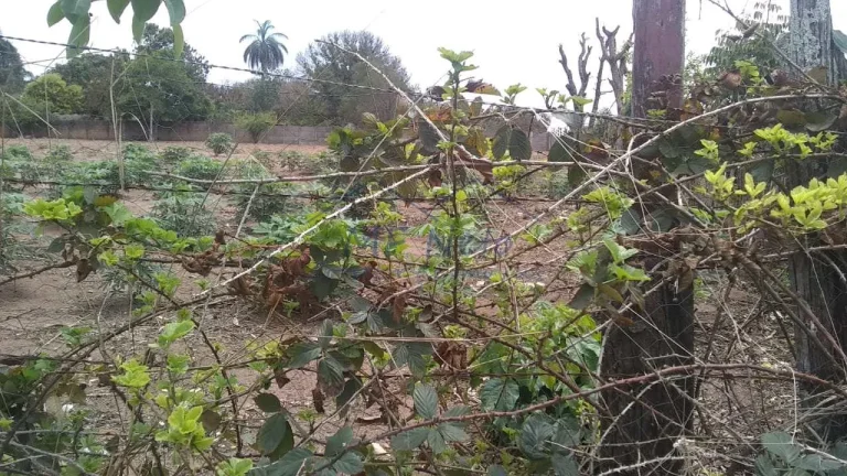 Imagem Terreno Padrão