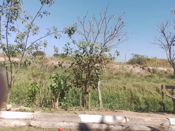 Imagem Área para alugar, 1500 m² por R$ 1.725,00/mês - Cidade Miguel Badra - Suzano/SP
