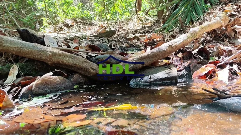 Chácara 2 Alqs de Cultura Forte e nascente 85 kms de Goiânia