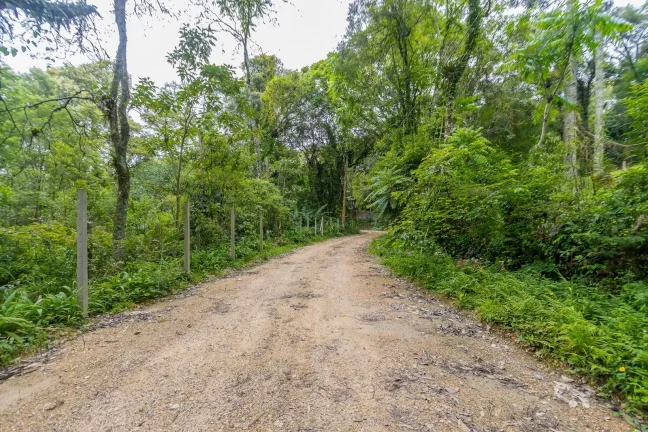 Imagem Terreno 745m2 rua sem saída Santa Felicidade