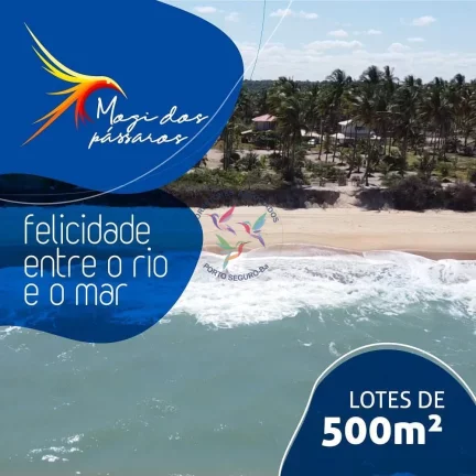 Imagem Mogi dos Pássaros - Mogiquiçaba - Belmonte - Bahia