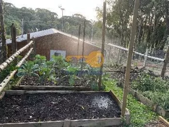 Imagem LINDA CHACARA NA REGIÃO METROPOLITANA DE CURITIBA COM PISCINA