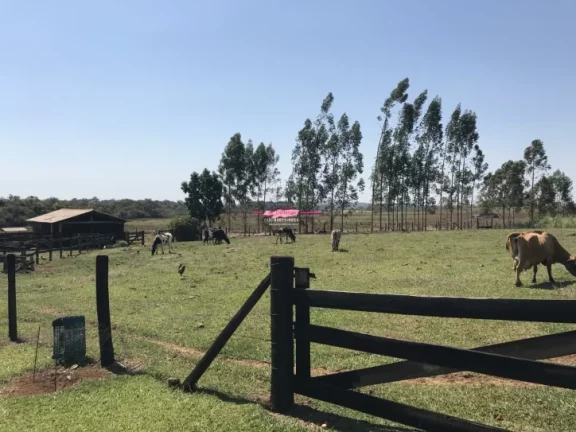 Imagem Sitio formado com 2,7 alqueires próximo ao km 154 Castello Branco