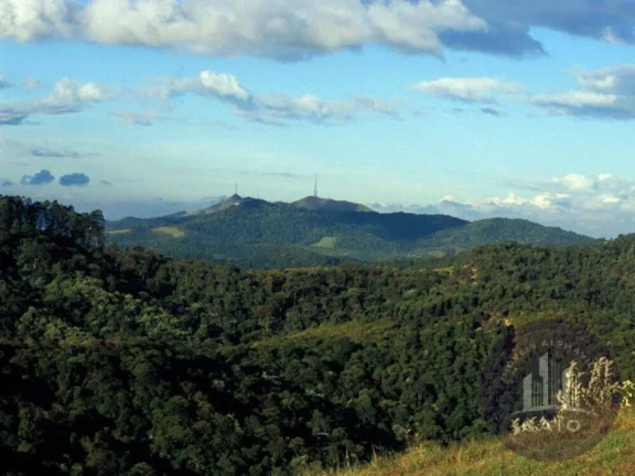 Imagem Terreno à venda, 644 m² por R$ 2.995.000,00 - Alphaville - SP