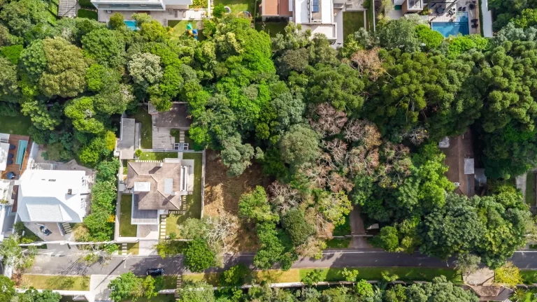 Imagem Terreno Campo Comprido