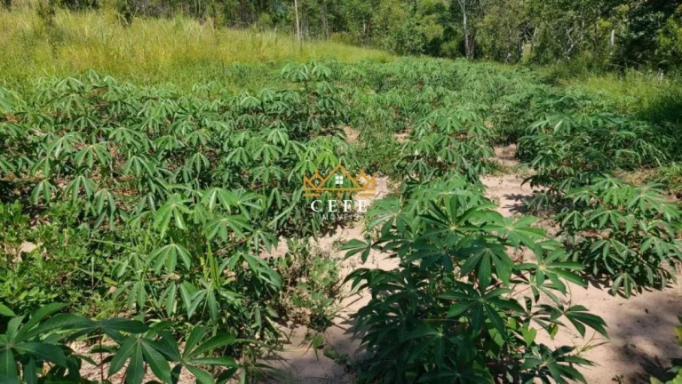 Imagem Chácara - Sítio com 1 Dormitorio(s) localizado(a) no bairro Zona Rural em Araricá / RIO GRANDE DO SUL Ref.:1585