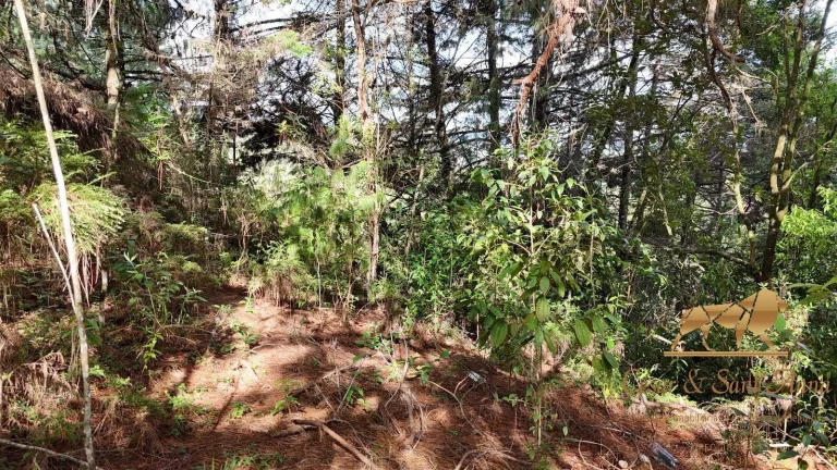 Imagem Terreno a venda em Campos do Jordão
