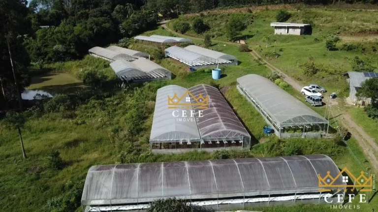 Imagem Chácara - Sítio com 1 Dormitorio(s) localizado(a) no bairro Padre Eterno Ilges em Santa Maria do Herval / RIO GRANDE DO SUL Ref.:1267