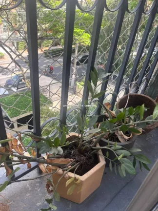 Imagem Apartamento à venda Vila Olímpia São Paulo