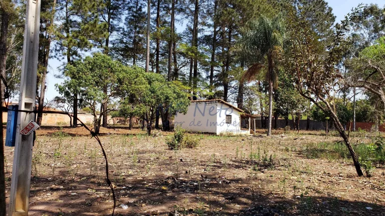 Imagem Terreno Padrão