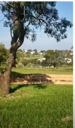 Imagem Oportunidade Única Terreno a Venda no Coração do Riviera de Santa Cristina XIII