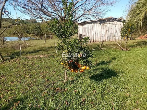 Imagem Chácara de 16.500 m² na Beira do Asfalto com Casa, Galpão e Pomar!