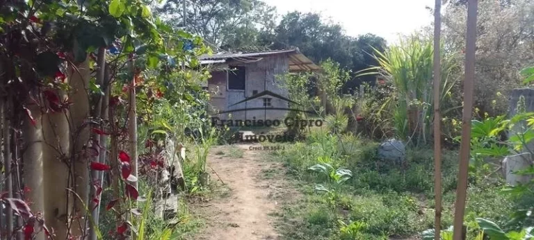 Imagem Sítio à venda no bairro Rocinha - Guaratinguetá/SP