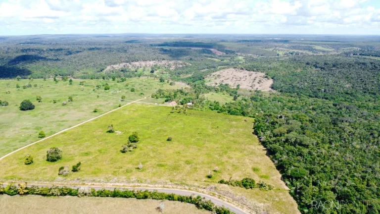 Imagem Fazenda à Venda, 7.140.000 m² em Zona Rural - Cardeal Da Silva